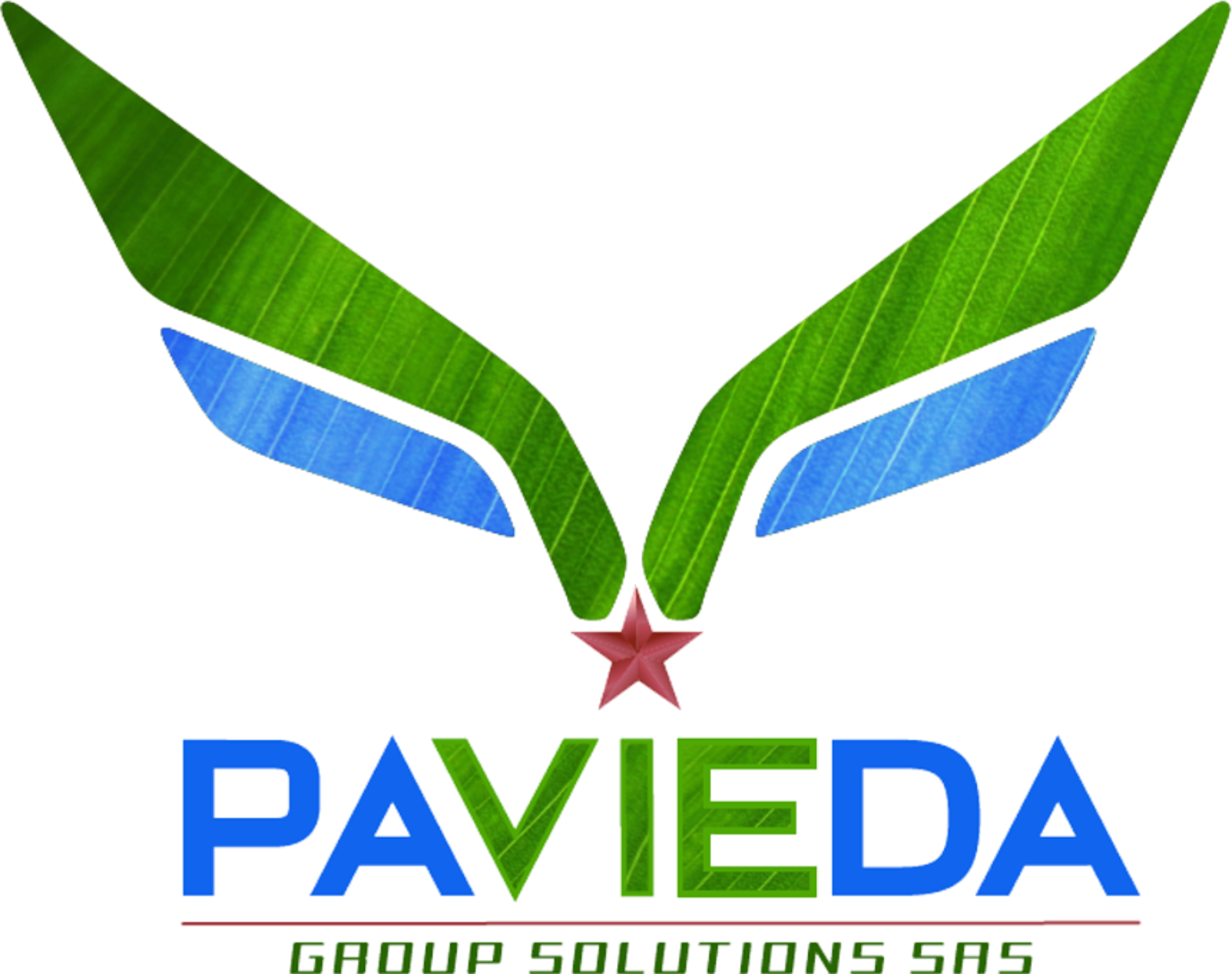 logo pavieda